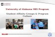 University of Alabama MIS Program Student Affinity Groups & Program Culture