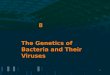 8 The Genetics of Bacteria and Their Viruses. Plasmids Plasmids are circular DNA molecules which replicate independently of the bacterial chromosome Plasmids