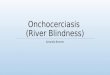 Onchocerciasis (River Blindness) Amanda Kramer. WHAT IS RIVER BLINDNESS? A neglected tropical diseased caused by the worm Onchocerca volvulus and carried