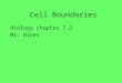 Cell Boundaries Biology chapter 7.3 Mr. Hines. Where does the cell begin and end Animal cells – the cell membrane separates regions between cells. All