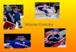 Wayne Gretzky. Emigration I moved to Toronto in 1976, to play hockey when I was 14