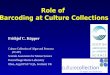 Role of Barcoding at Culture Collections Frithjof C. Küpper Culture Collection of Algae and Protozoa (CCAP) Scottish Association for Marine Science Dunstaffnage