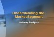 Understanding the Market Segment Industry Analysis