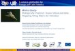 Www.eu-eela.eu E-science grid facility for Europe and Latin America MAVs-Study Biologically Inspired, Super Maneuverable, Flapping Wing Micro-Air-Vehicles