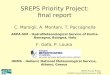 SREPS Priority Project COSMO General Meeting Cracov 2008 SREPS Priority Project: final report C. Marsigli, A. Montani, T. Paccagnella ARPA-SIM - HydroMeteorological