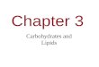 Chapter 3 Carbohydrates and Lipids. You Must Know The cellular functions of carbohydrates and lipids. How the sequence and subcomponents of carbohydrates