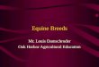Equine Breeds Mr. Louis Damschroder Oak Harbor Agricultural Education