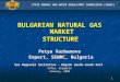 1 BULGARIAN NATURAL GAS MARKET STRUCTURE STRUCTURE Petya Varbanova Expert, SEWRC, Bulgaria Expert, SEWRC, Bulgaria Gas Regional Initiative – Region South-South
