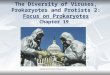 The Diversity of Viruses, Prokaryotes and Protists 2: Focus on Prokaryotes Chapter 19