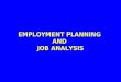 EMPLOYMENT PLANNING AND JOB ANALYSIS. Introduction. Employment Planning / HR Planning An organizational framework. Linking organizational strategy to