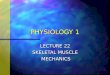 PHYSIOLOGY 1 LECTURE 22 SKELETAL MUSCLE MECHANICS