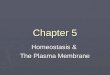 Chapter 5 Homeostasis & The Plasma Membrane.  It’s all about balance!  Failure to adjust….death  Cells maintain balance by controlling materials entering/leaving