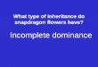 What type of inheritance do snapdragon flowers have? Incomplete dominance