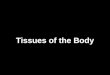 Tissues of the Body. Four Basic Kinds of Tissues Epithelial Tissue Epithelial Tissue Connective Tissue Connective Tissue Muscle Tissue Muscle Tissue Nervous