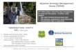 Riparian Ecology Management Study (REMS) Washington Dept. of Ecology, Lacey, WA U.S.A / J. Janisch and W. Ehinger WA DNR project: determine best management