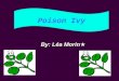 By: Léa Morin ★ Poison Ivy. History of the plant