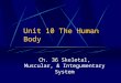 Unit 10 The Human Body Ch. 36 Skeletal, Muscular, & Integumentary System