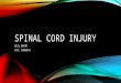 SPINAL CORD INJURY NEIL BARRY USI: 1009842. BACKGROUND PATIENT PRESENTED WITH SPINAL CORD INJURY, WHEELCHAIR BOUND, INTERVIEWED ON INCLINE TABLE (IN NEUTRAL