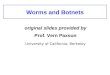 Worms and Botnets original slides provided by Prof. Vern Paxson University of California, Berkeley