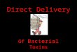 Direct Delivery Of Bacterial Toxins. Some bacteria are able to directly deliver their toxins into the cytoplasm of eukaryotic cells through a contact-dependent