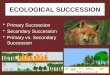 ECOLOGICAL SUCCESSION Primary Succession Secondary Succession Primary vs. Secondary Succession