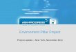 Environment Pillar Project Project update – New York, November 2014