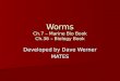 Worms Ch.7 – Marine Bio Book Ch.36 – Biology Book Developed by Dave Werner MATES