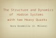 The Structure and Dynamics Nora Brambilla (U. Milano) of Hadron Systems with two Heavy Quarks