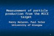 1 Measurement of particle production from the MICE target Kenny Walaron, Paul Soler University of Glasgow