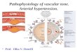 Pathophysiology of vascular tone. Arterial hypertension. Prof. Olha V. Denefil