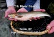 Elk River Basin Fernie, BC September 7 – 12, 2010