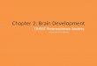 Chapter 2: Brain Development TJHSST Neuroscience Society Prepared by Usnish Majumdar