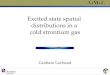 Excited state spatial distributions in a cold strontium gas Graham Lochead