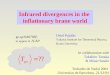 Infrared divergences in the inflationary brane world Oriol Pujolàs Yukawa Institute for Theoretical Physics, Kyoto University In collaboration with Takahiro