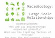 MacroEcology: Large Scale Relationships Essential Questions: How are all relationships organized globally? What are the limiting factors of ecology? How
