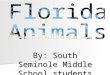 By: South Seminole Middle School students. Florida Panther The Florida Panther is the state animal. The panther is a type of cougar and there are only