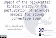 Impact of the backscatter kinetic energy on the perturbation of ensemble members for strong convective event Jakub Guzikowski (jguzikowski@igf.edu.pl)