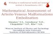 1 Mathematical Assessment of Arterio-Venous Malformations Embolisation 1 Moscow Institute of Physics and Technology 2 Novosibirsk State University 3 Institute