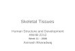 Skeletal Tissues Human Structure and Development ANHB 2212 Week 11 – 2006 Avinash Bharadwaj