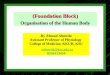 (Foundation Block) Organisation of the Human Body By Ahmad Ahmeda Assistant Professor of Physiology College of Medicine, KKUH, KSU aahmeda@ksu.edu.sa 0536313454