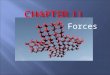 Forces.  > Identify the law that says that objects change their motion only when a net force is applied.  > Relate the first law of motion to important