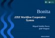 Bonita J2EE Workflow Cooperative System Miguel Valdés Faura JIAP Project 09/12/2003