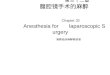 第三十二章 腹腔镜手术的麻醉 Chapter 32 Anesthesia for laparoscopic Surgery 湘雅临床麻醉教研室