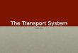 The Transport System Topic 6.2. Transport Song 