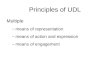 Principles of UDL Multiple –means of representation –means of action and expression –means of engagement