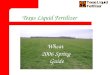 1 Texas Liquid Fertilizer Wheat 2006 Spring Guide