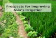 Prospects for Improving Asia’s Irrigation.  The Problem  Agricultural Irrigation Solutions  Other Irrigation Solutions  Conclusion Prospects for Improving