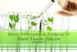 Basic Principles & Protocol in Plant Tissue Culture Chapter 9