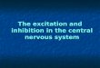 The excitation and inhibition in the central nervous system
