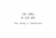 IB-202 4-29-05 The Body’s Defenses. CHAPTER 47 ANIMAL DEVELOPMENT Copyright © 2002 Pearson Education, Inc., publishing as Benjamin Cummings Section B: